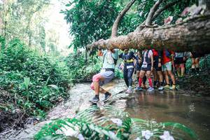 BIB: 
                            <button type="button" onclick="openModal(25466445)" class="btn btn-primary btn-sm float-right btn-popup" data-toggle="modal" data-target=".modal-high-quality">
                        <i class="fas fa-shopping-cart"></i> Add to Cart
                    </button>
                                            <button type="button" onclick="isThisMe(25466445, true)" class="btn btn-success btn-sm float-right btn-popup btn-isme hidden" data-toggle="tooltip" data-placement="bottom" title="นี่คือรูปของคุณใช่ไหม คลิกที่นี่เพื่อเอาเข้าอัลบั้ม">
                        <i class="fas fa-plus"></i> Add to album
                    </button>
                    <button type="button" onclick="isThisMe(25466445, false)" class="btn btn-warning btn-sm float-right btn-popup btn-isnotme hidden">
                        <i class="fas fa-ban"></i> Remove from album
                    </button>